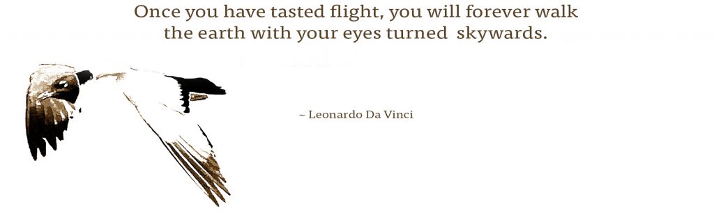 Quote: Once you have tasted flight, you will forever walk the earth with your eyes turned skyward. ~ Leonardo Da Vinci